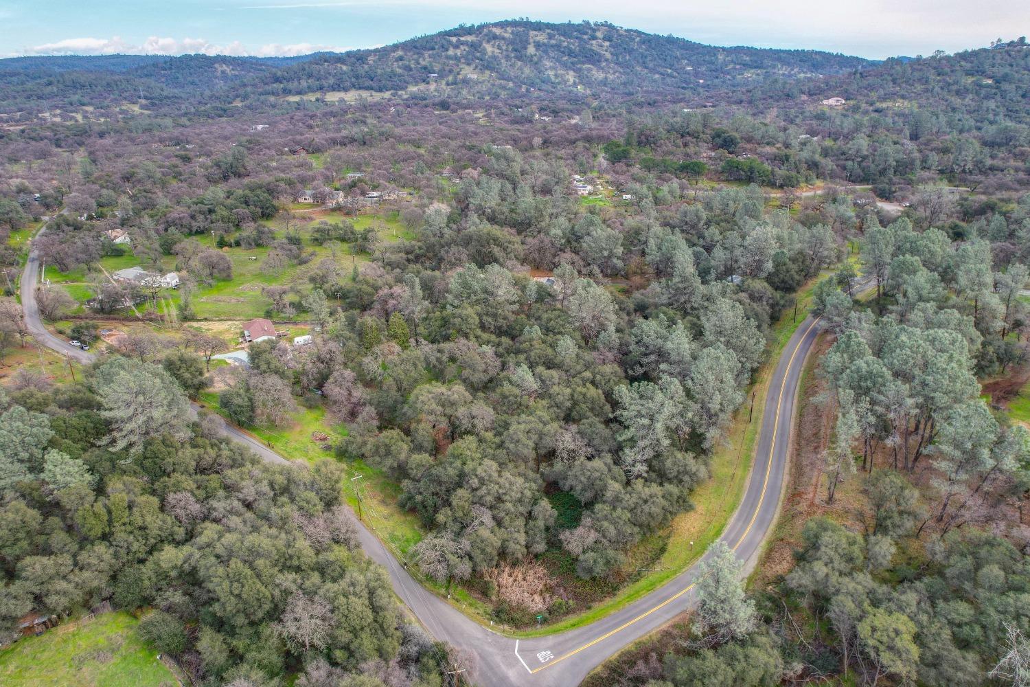 Dolan Harding Road, Browns Valley, California image 36