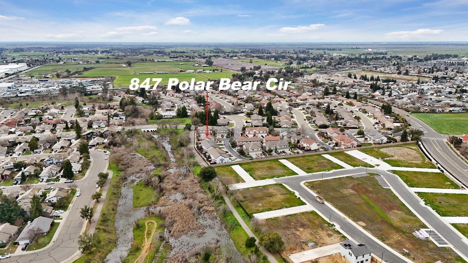 Polar Bear Circle, Galt, California image 47