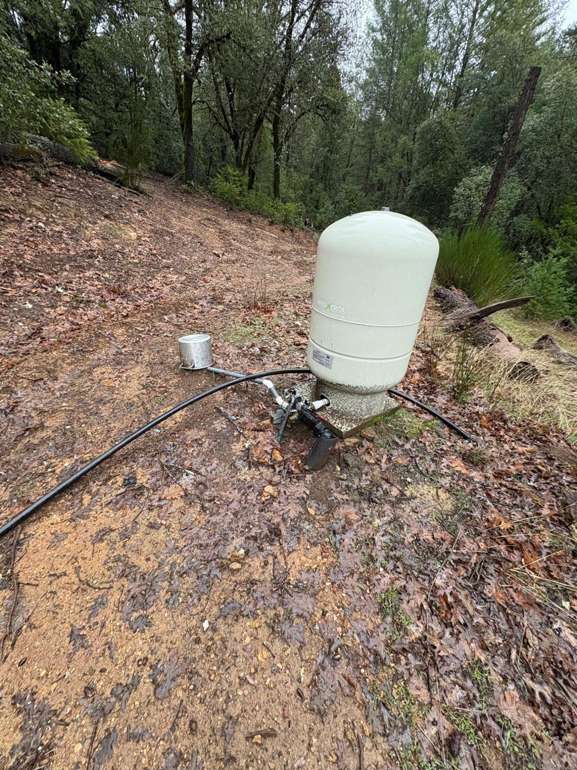 Mule Canyon Road, Grass Valley, California image 10