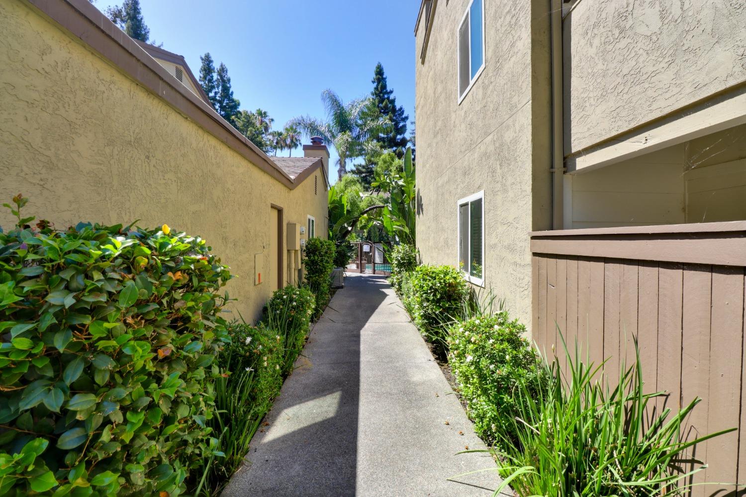 Photo #32: 225017682 Listing: Photo #32