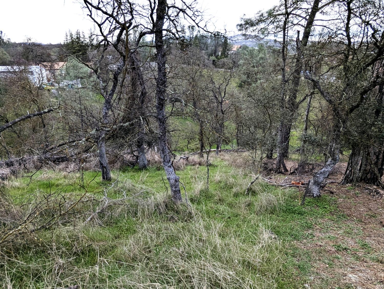 Tomahawk Trail, Copperopolis, California image 1