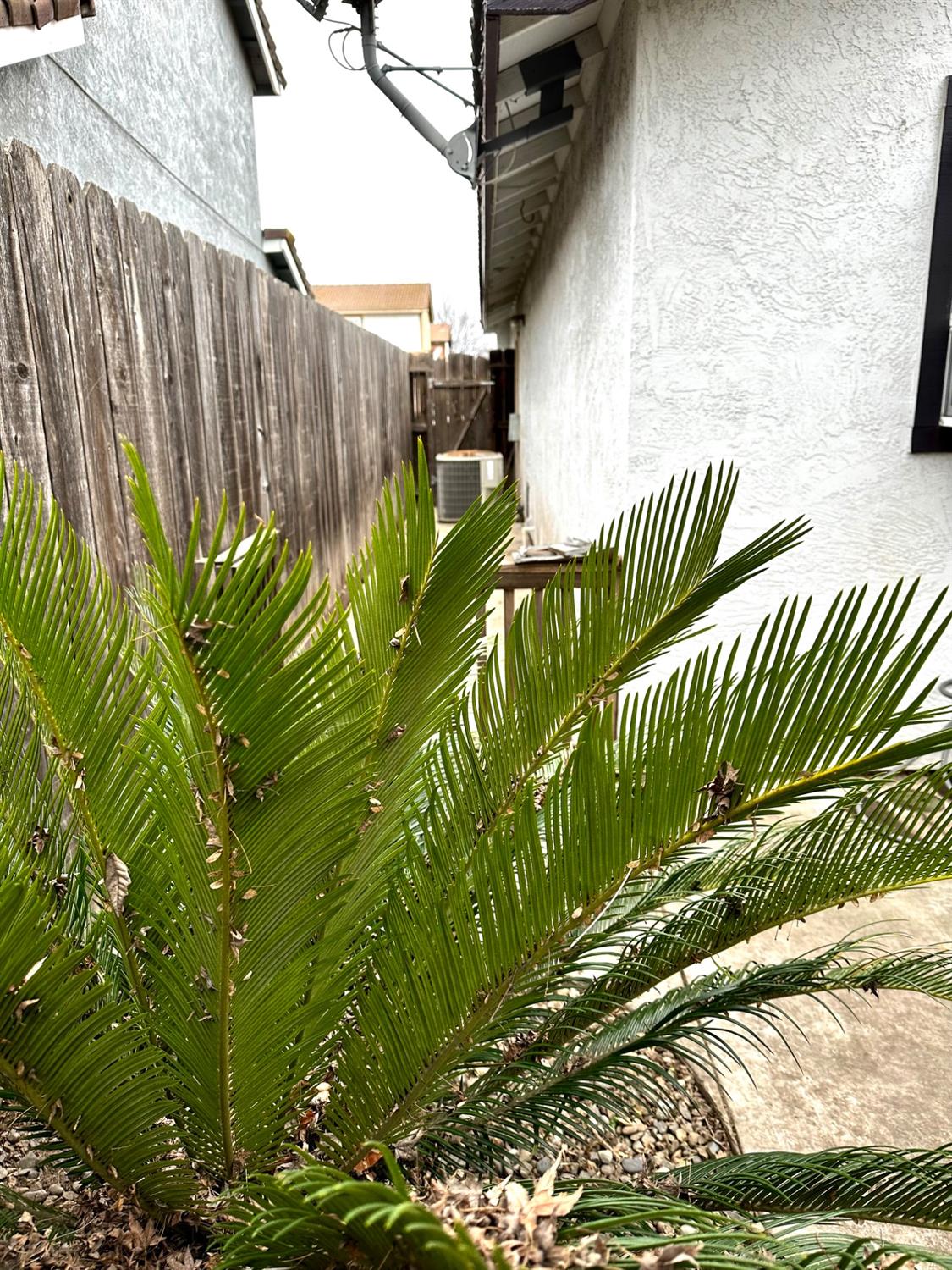 Detail Gallery Image 61 of 85 For 1708 Brett Ln, Modesto,  CA 95358 - 2 Beds | 2 Baths