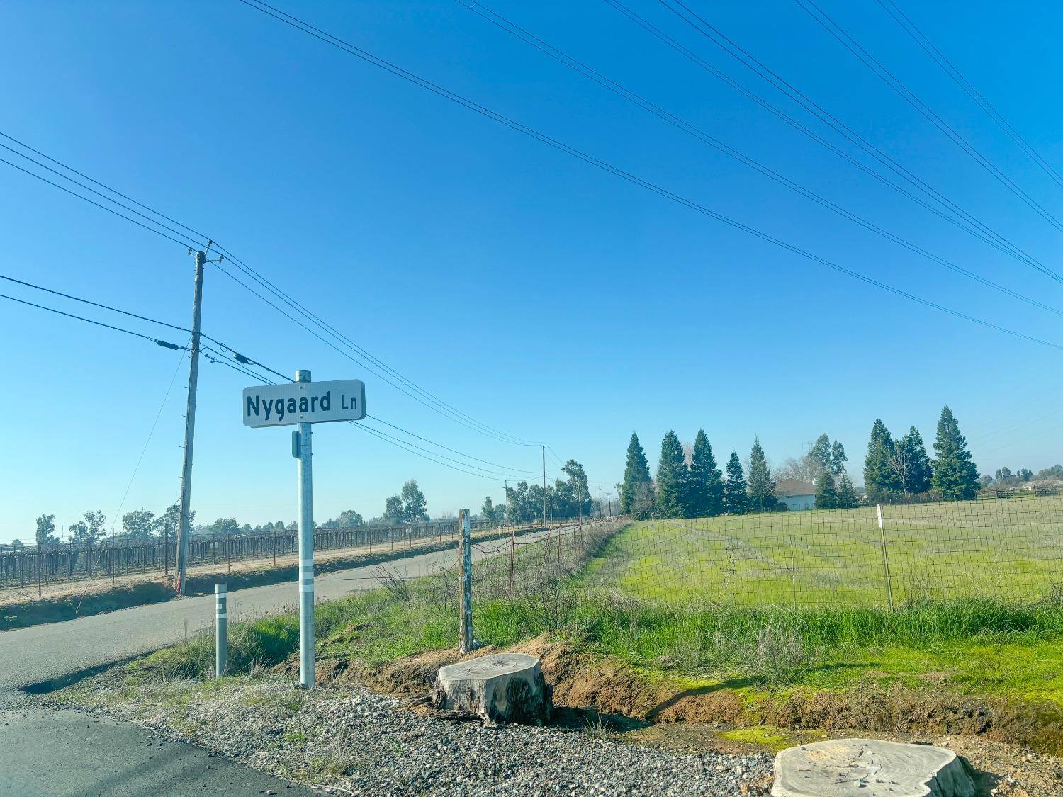 Nygaard Lane, Wilton, California image 11