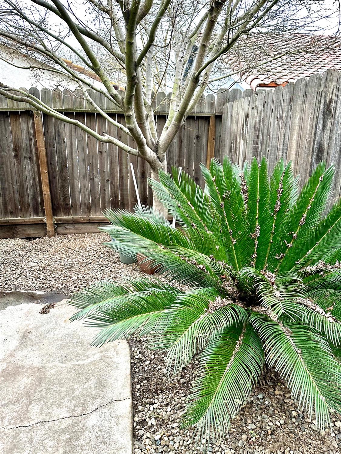 Detail Gallery Image 56 of 85 For 1708 Brett Ln, Modesto,  CA 95358 - 2 Beds | 2 Baths