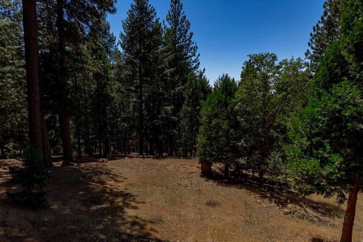 Detail Gallery Image 59 of 68 For 5307 Pine Ridge Dr, Grizzly Flats,  CA 95636 - 4 Beds | 3 Baths