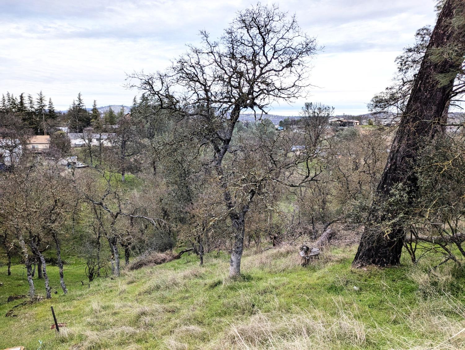 Bonnett Court, Copperopolis, California image 3