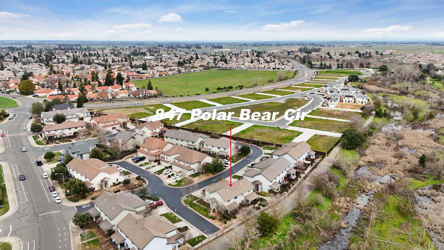 Polar Bear Circle, Galt, California image 39