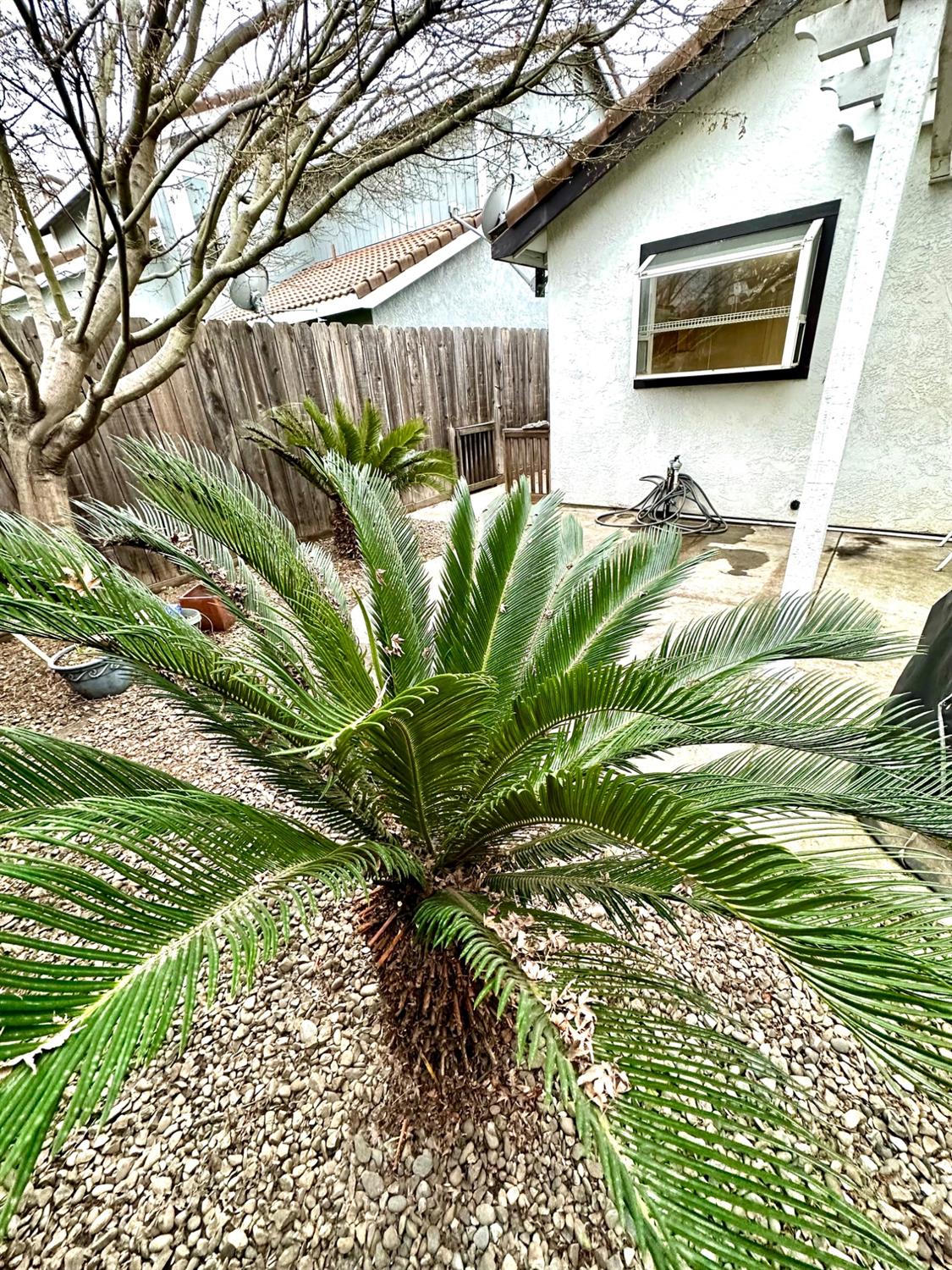 Detail Gallery Image 59 of 85 For 1708 Brett Ln, Modesto,  CA 95358 - 2 Beds | 2 Baths
