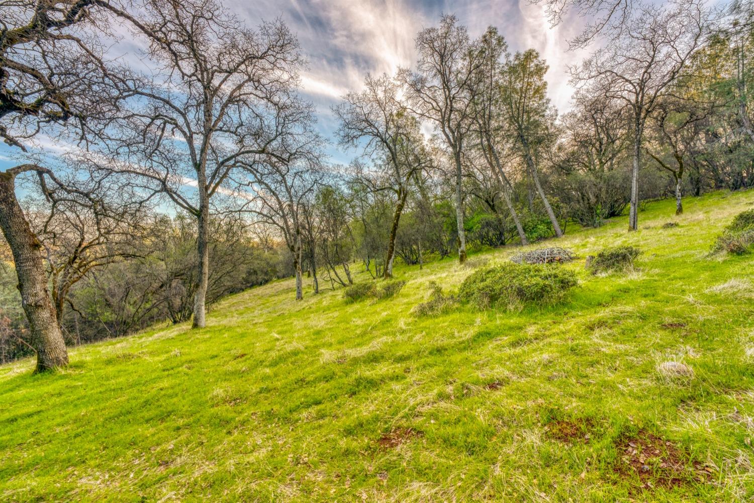 Acres Blarney Way, Pilot Hill, California image 4