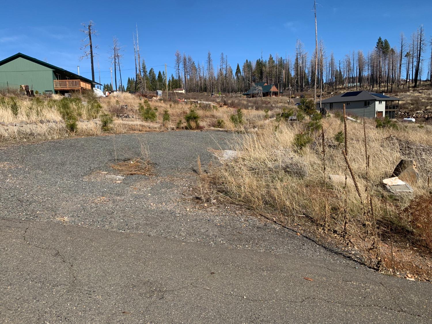 Winding Way, Grizzly Flats, California image 3