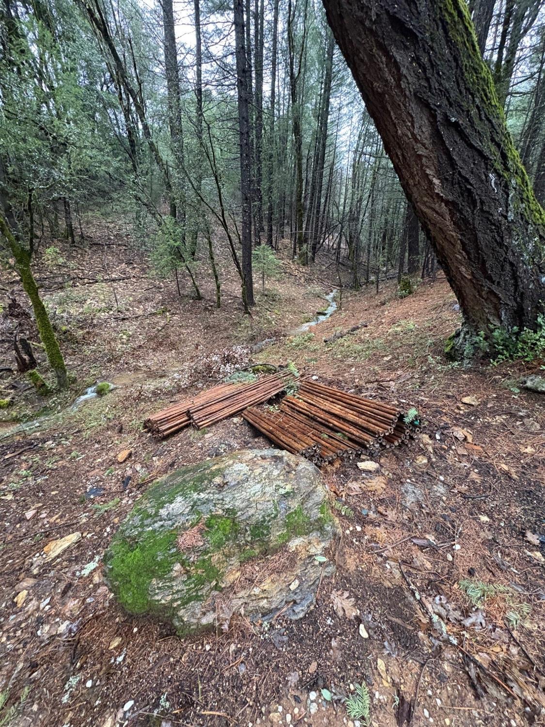 Mule Canyon Road, Grass Valley, California image 17