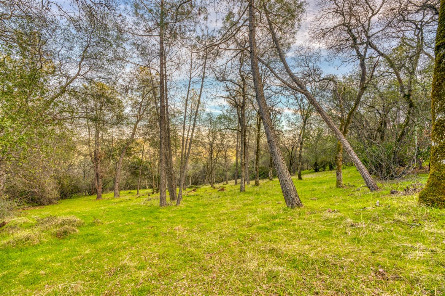 Acres Blarney Way, Pilot Hill, California image 1