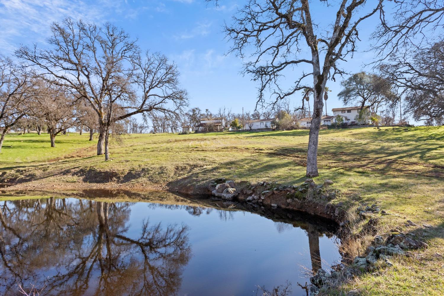 Bell Road, Auburn, California image 33