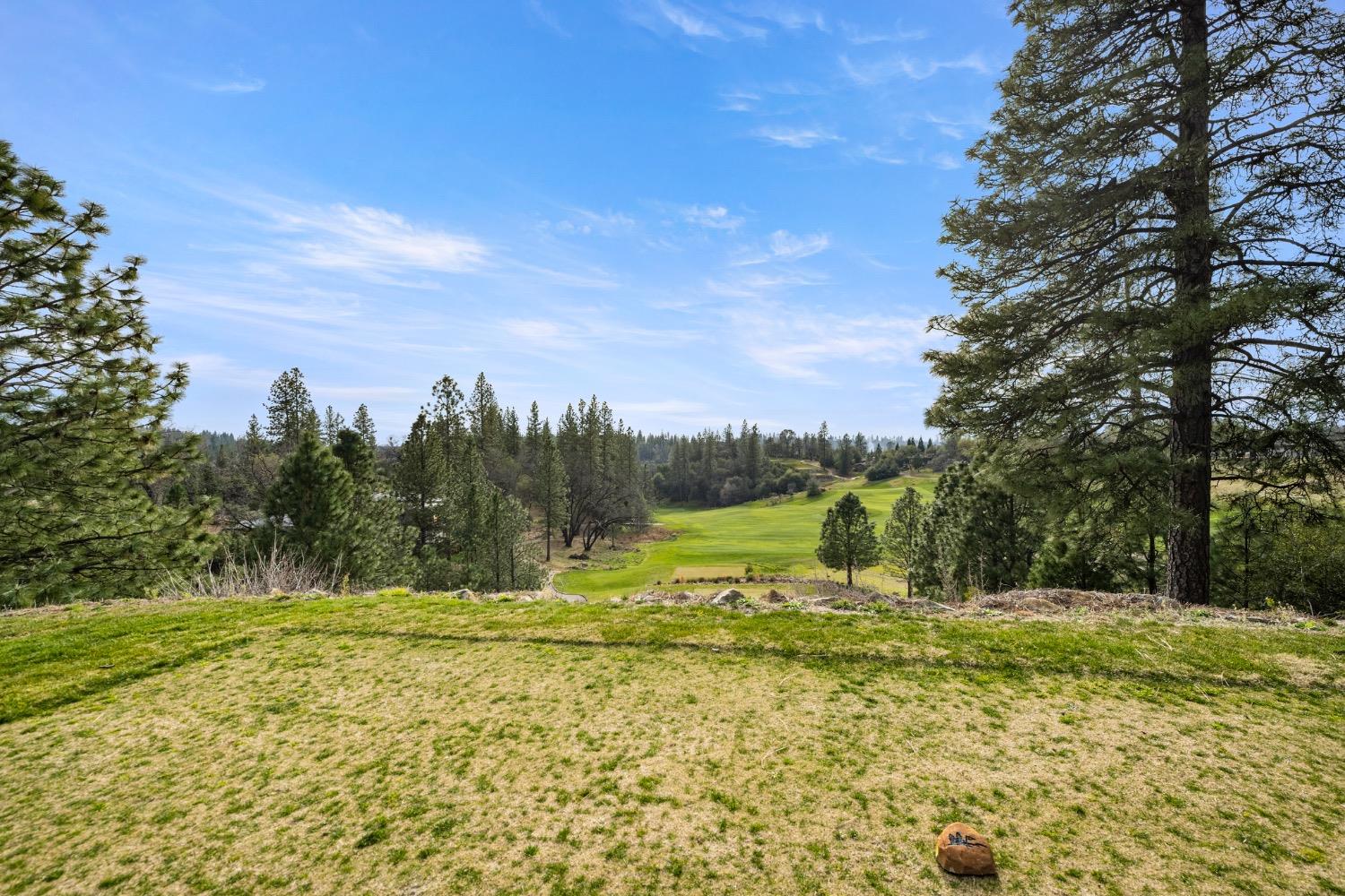 Lodge View Drive, Meadow Vista, California image 8