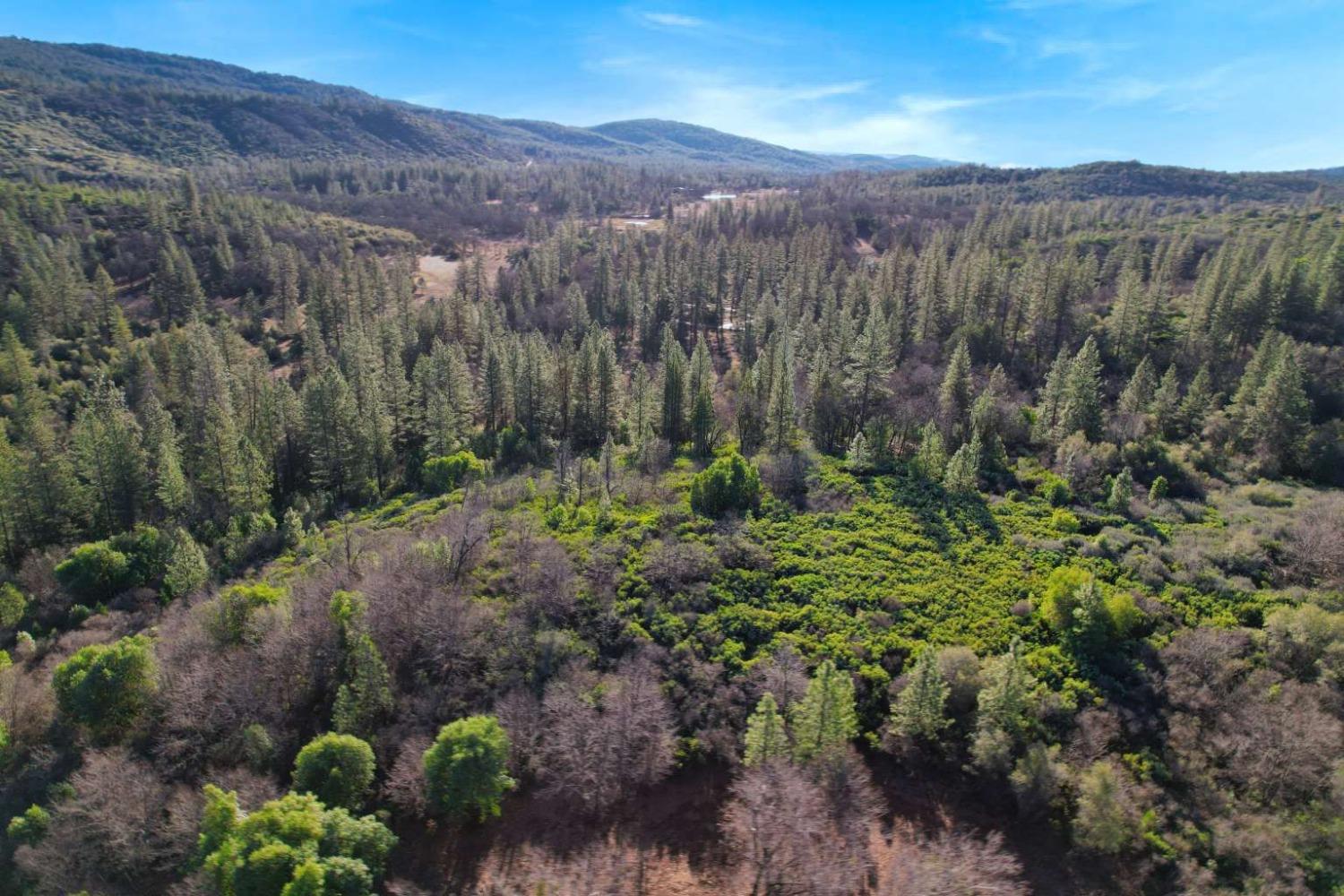 Indiana Ranch Road, Dobbins, California image 7