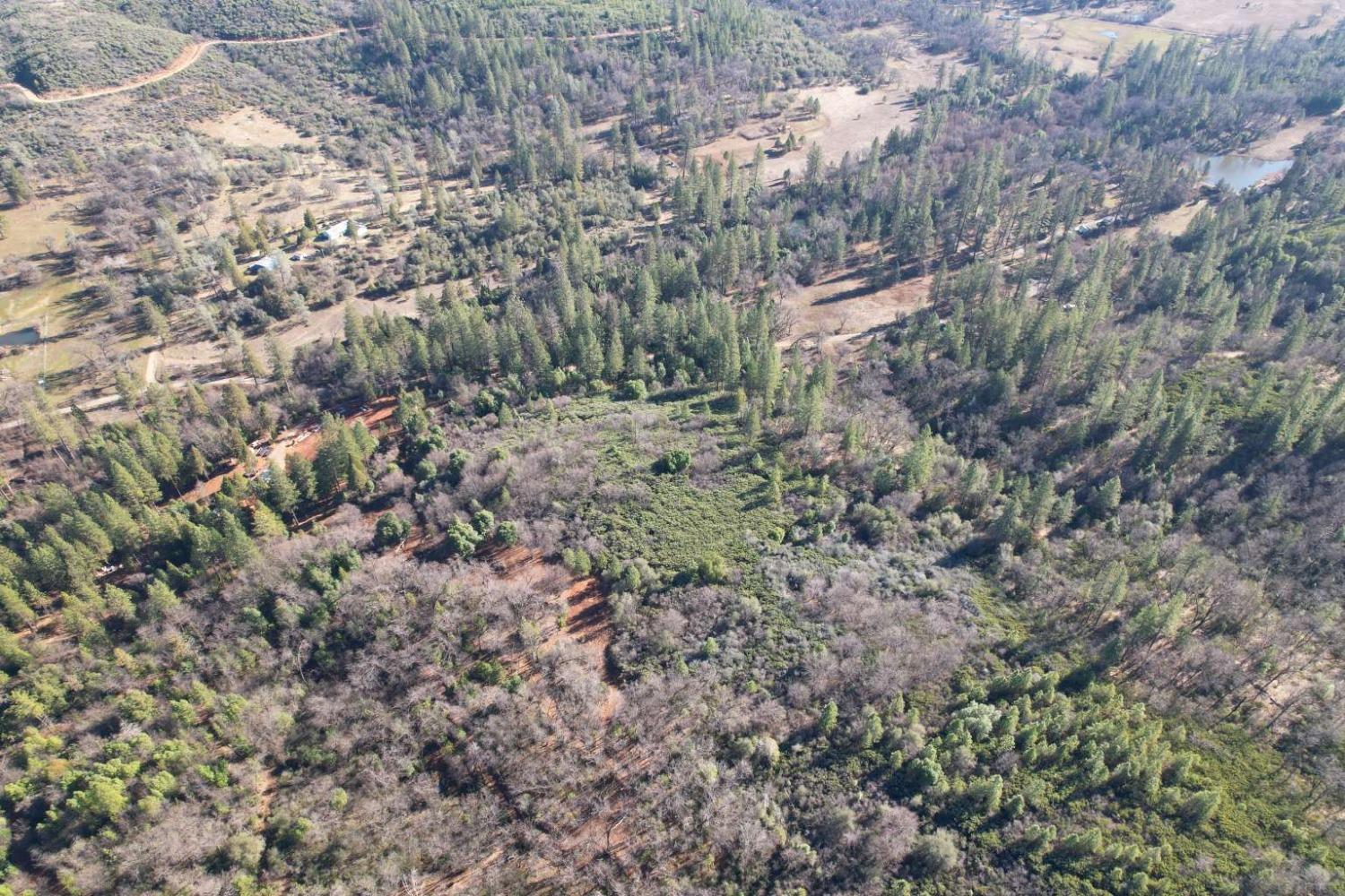 Indiana Ranch Road, Dobbins, California image 3