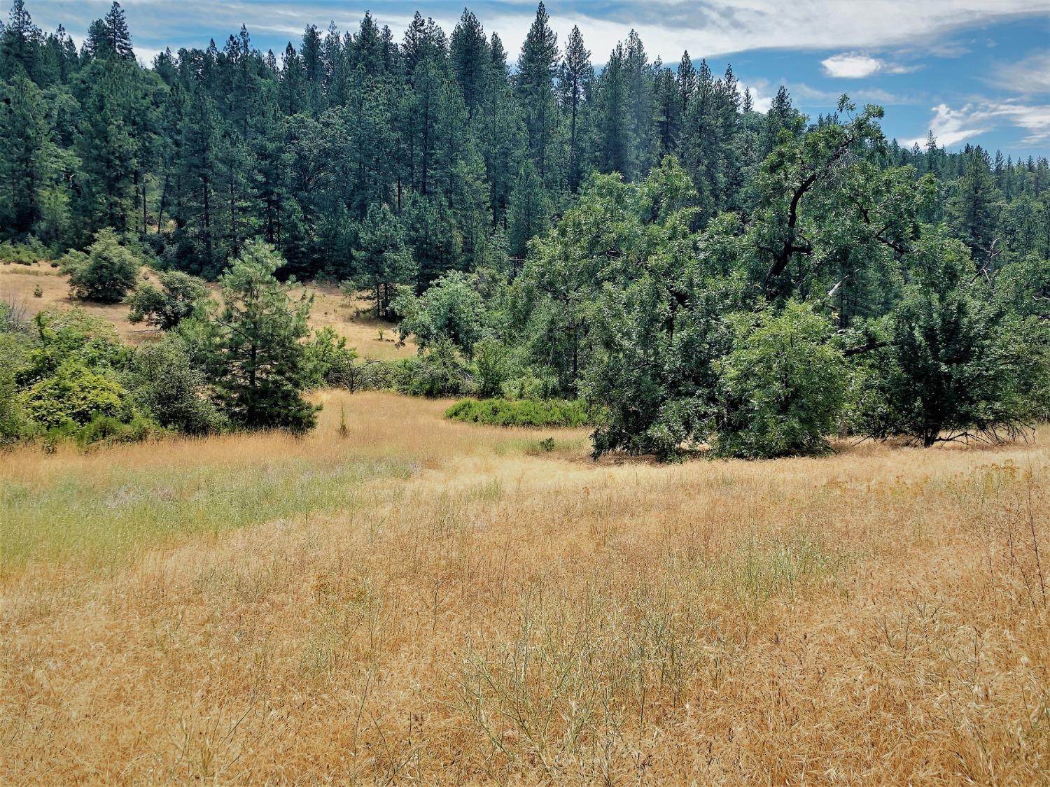 River Ranch Road, Grass Valley, California image 7