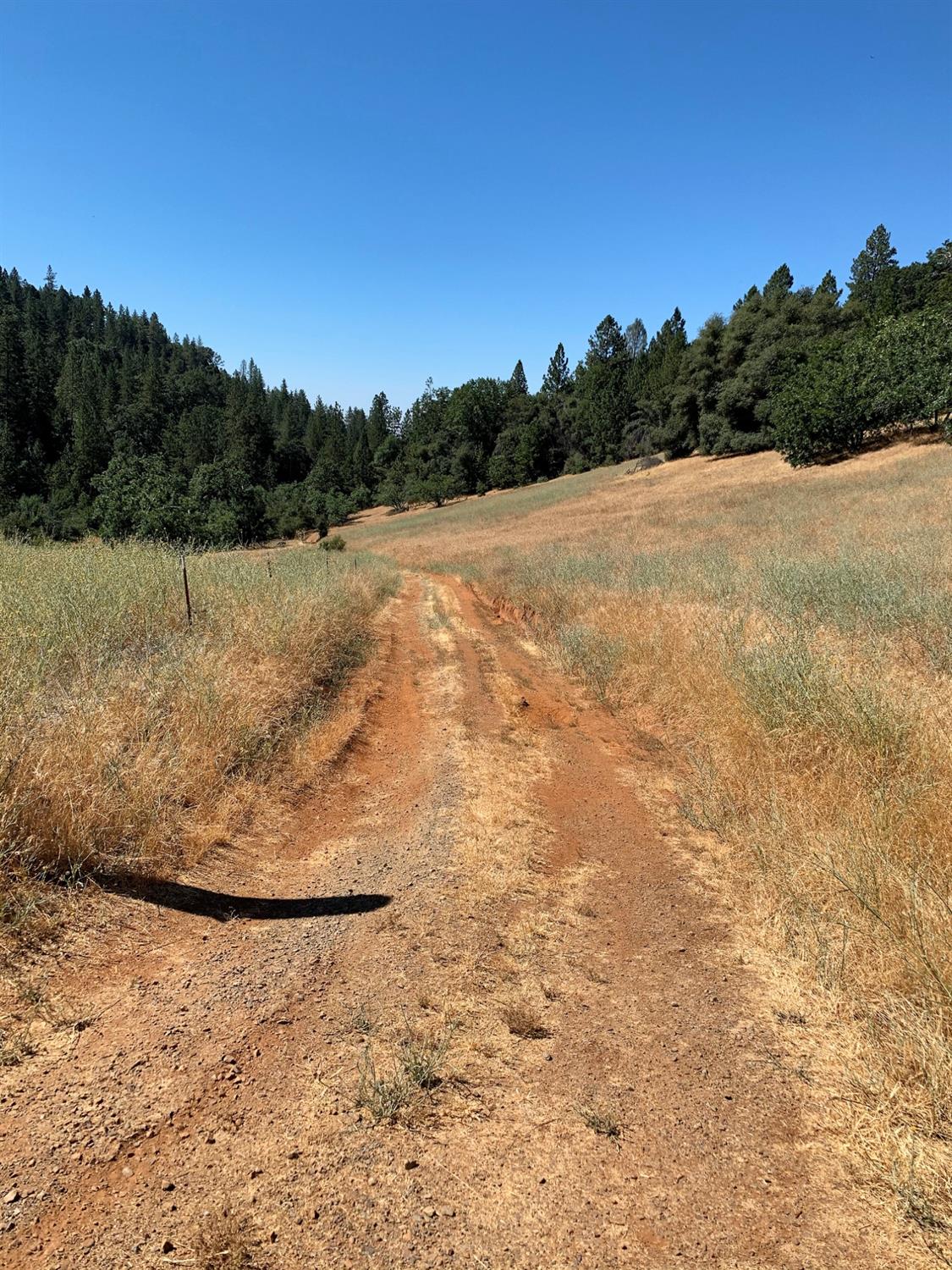 River Ranch Road, Grass Valley, California image 5