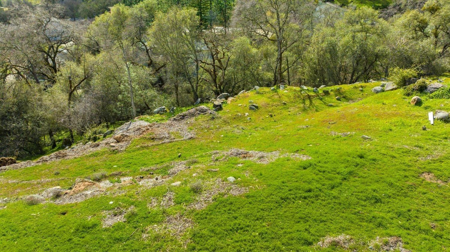 Gold Court, Penn Valley, California image 3