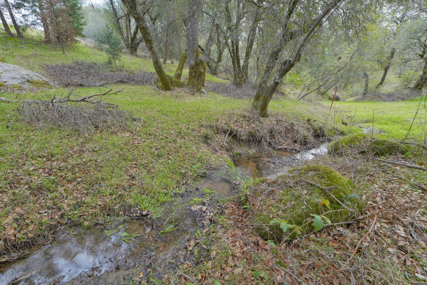 Detail Gallery Image 52 of 55 For 6681 Klare Rd, Somerset,  CA 95684 - 3 Beds | 2/1 Baths