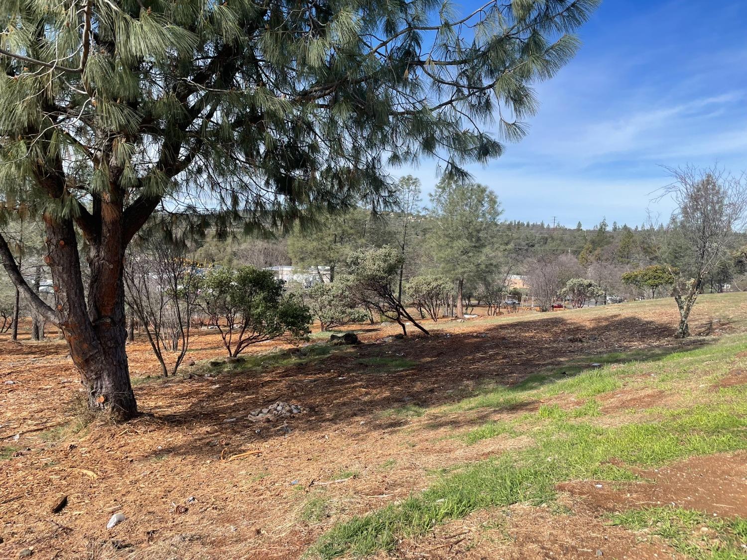 Product Drive, Shingle Springs, California image 8