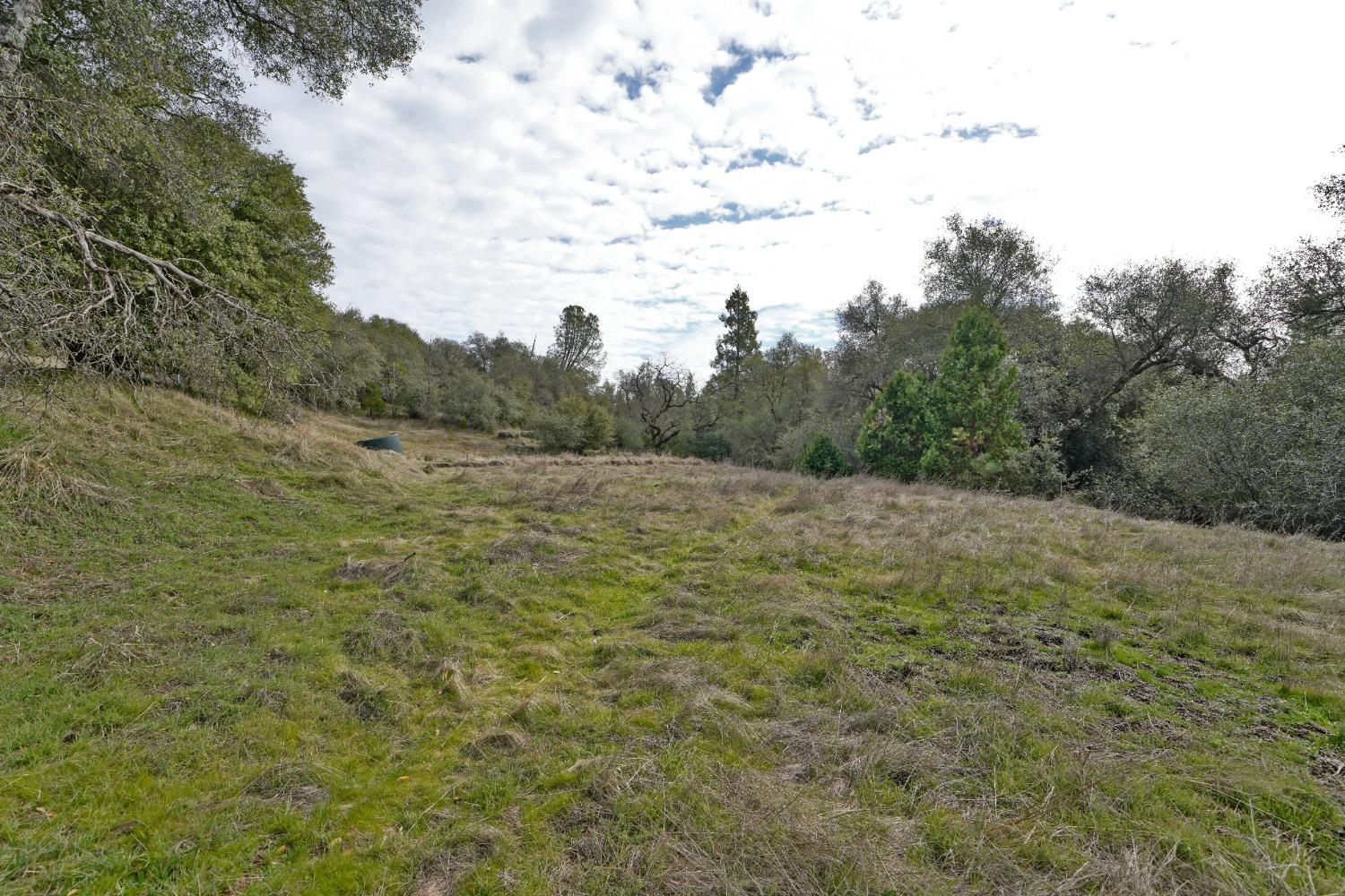 Detail Gallery Image 51 of 55 For 6681 Klare Rd, Somerset,  CA 95684 - 3 Beds | 2/1 Baths