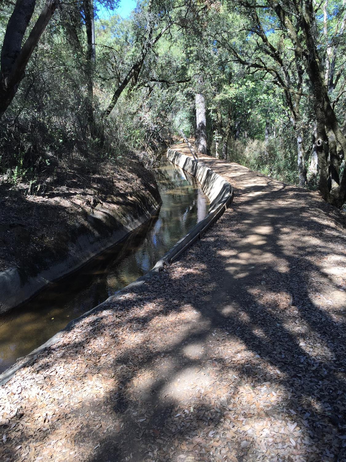 Krueger Drive, Auburn, California image 11