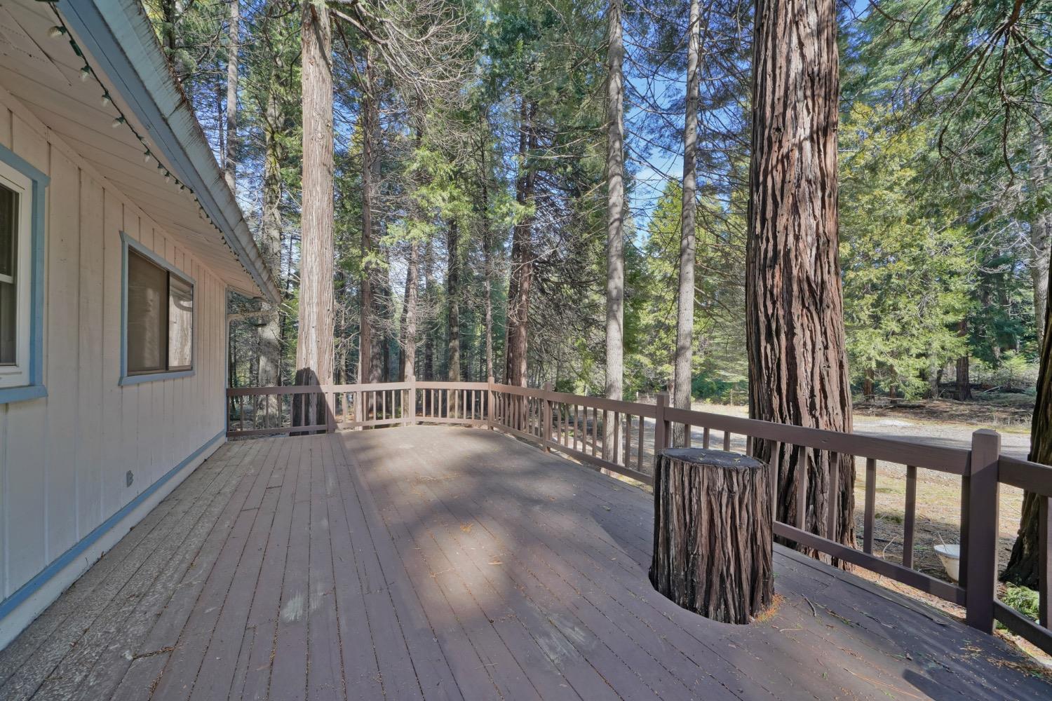 Sanders Court, Pollock Pines, California image 16