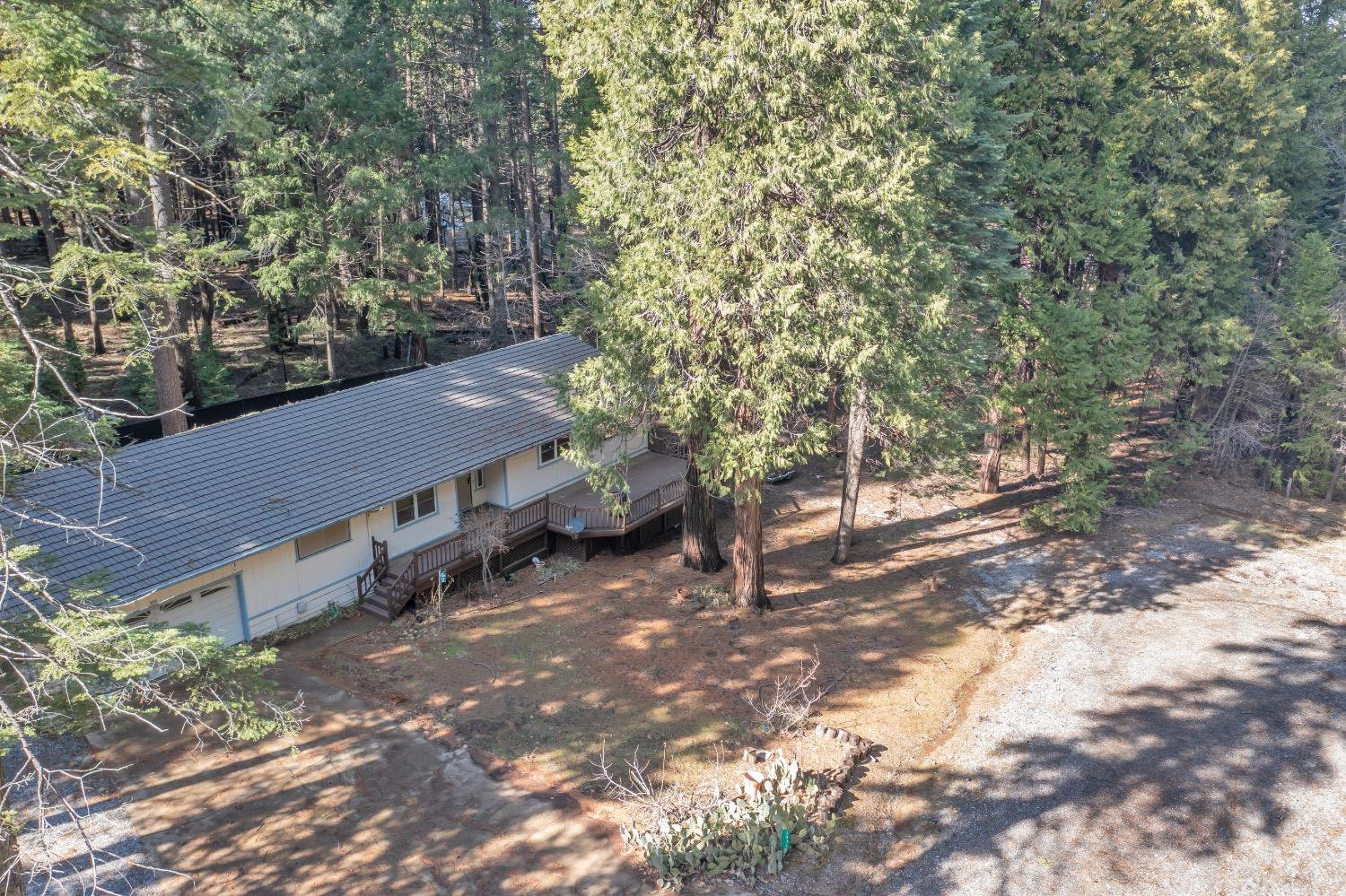 Sanders Court, Pollock Pines, California image 10