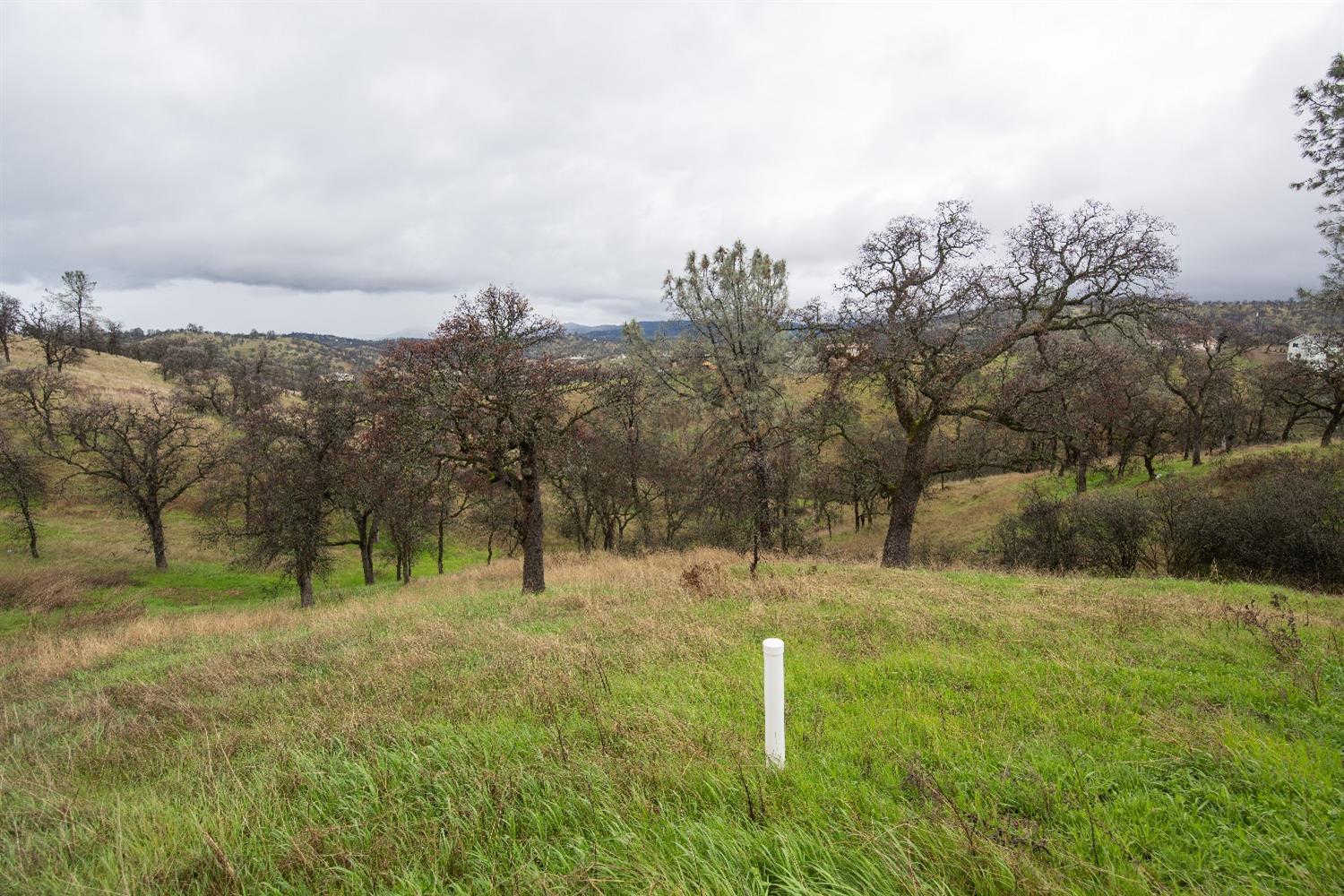 Penascal Road, La Grange, California image 8