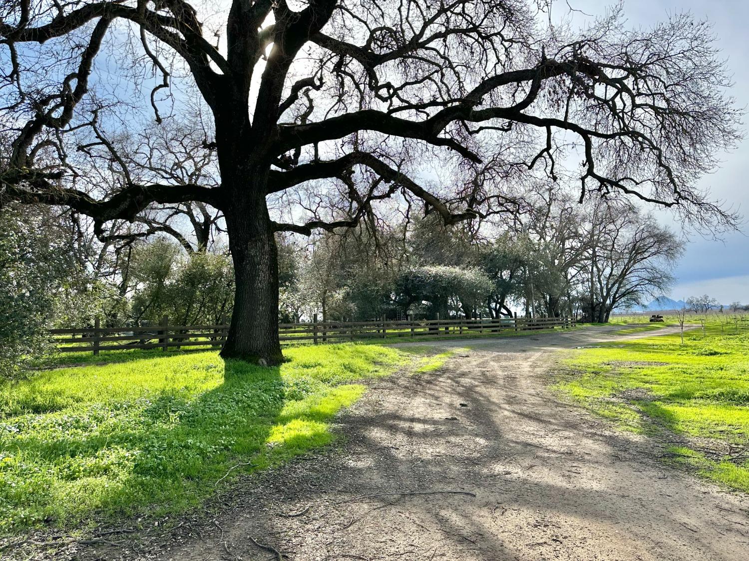 Ramirez Road, Marysville, California image 2