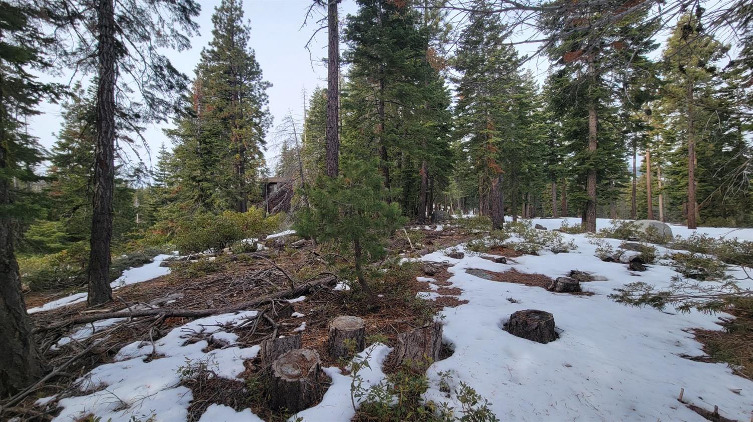 Northridge Drive, Tahoma, California image 6