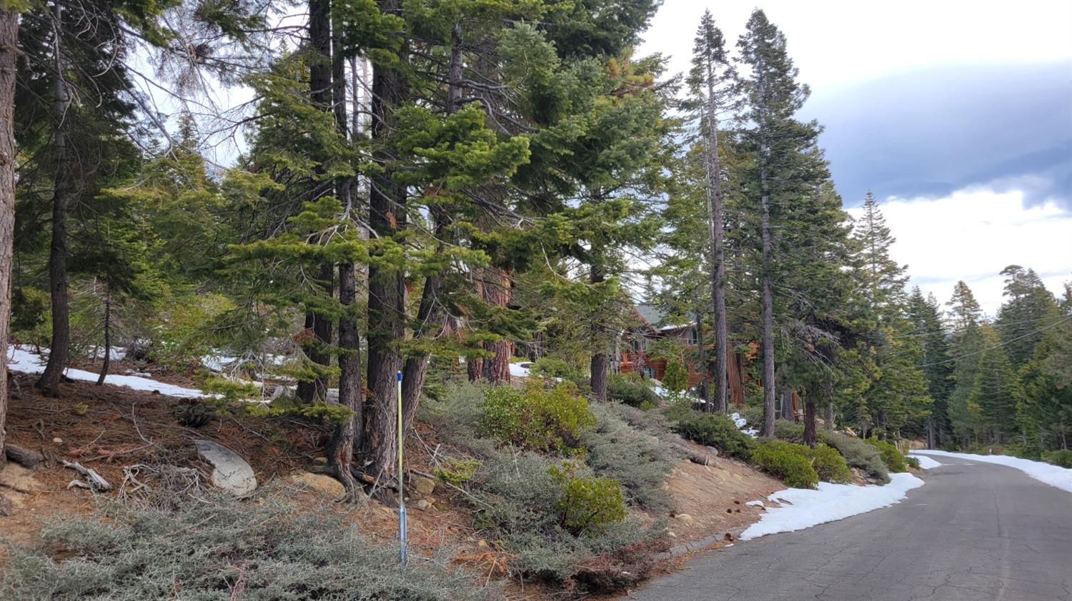 Northridge Drive, Tahoma, California image 1