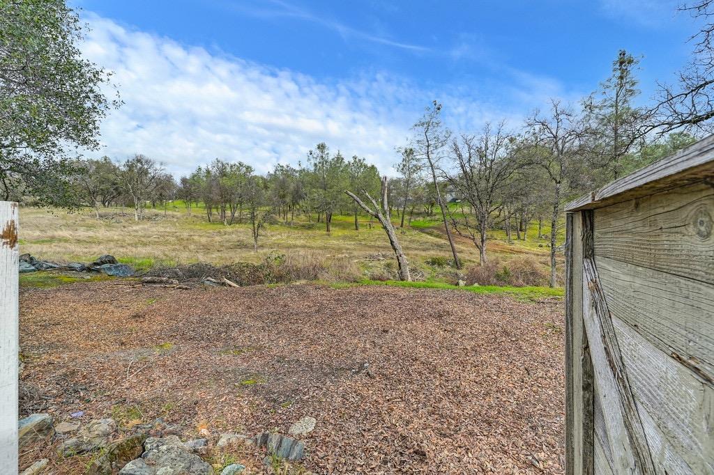 American River Trail, Cool, California image 42