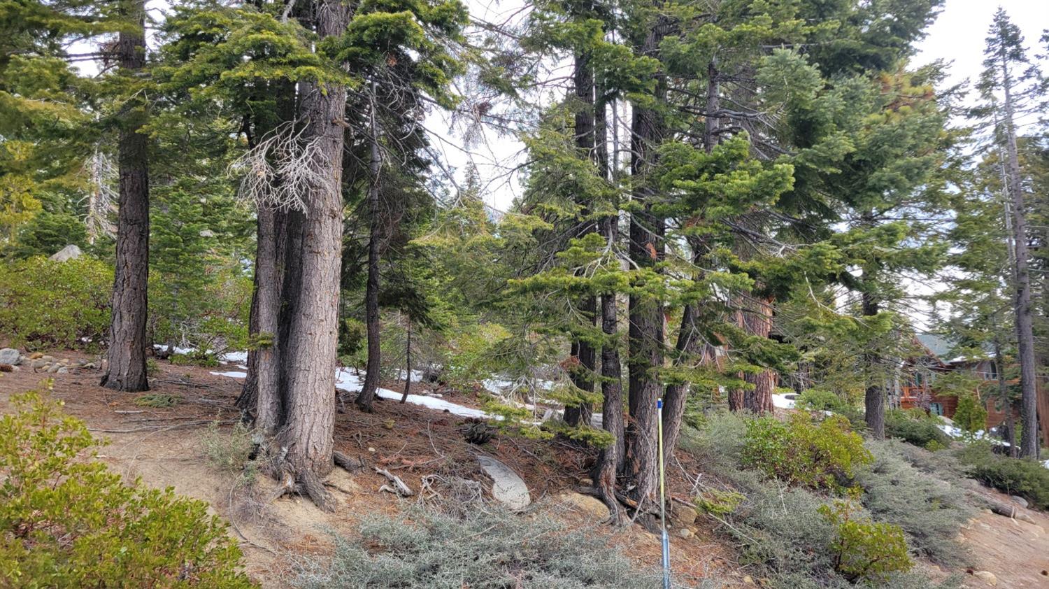 Northridge Drive, Tahoma, California image 2