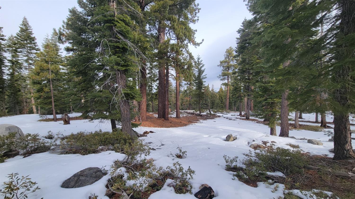 Northridge Drive, Tahoma, California image 7