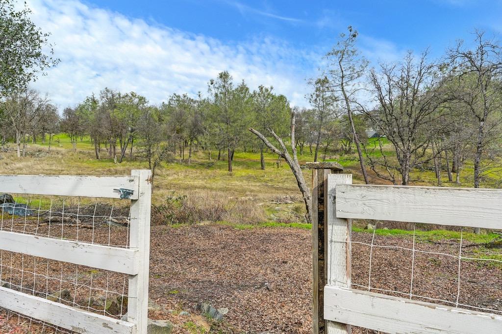 American River Trail, Cool, California image 40