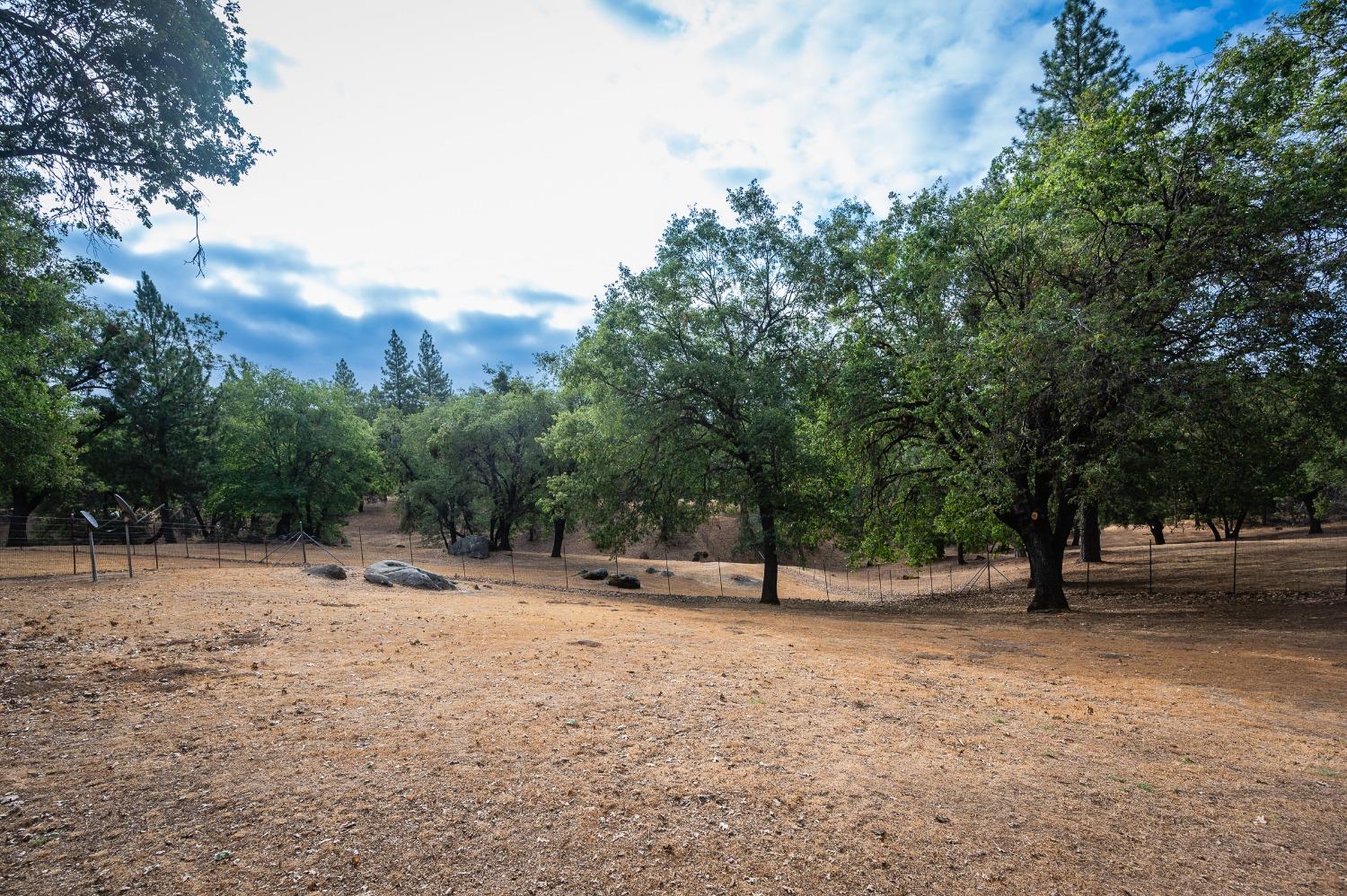 Cosumnes Mine Road, Somerset, California image 33