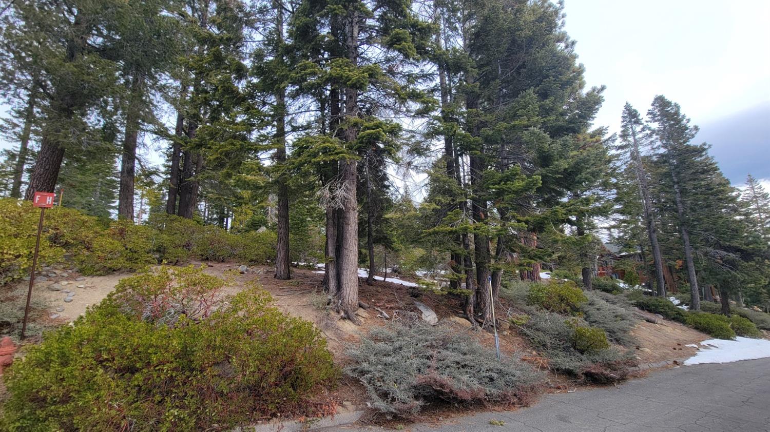 Northridge Drive, Tahoma, California image 4