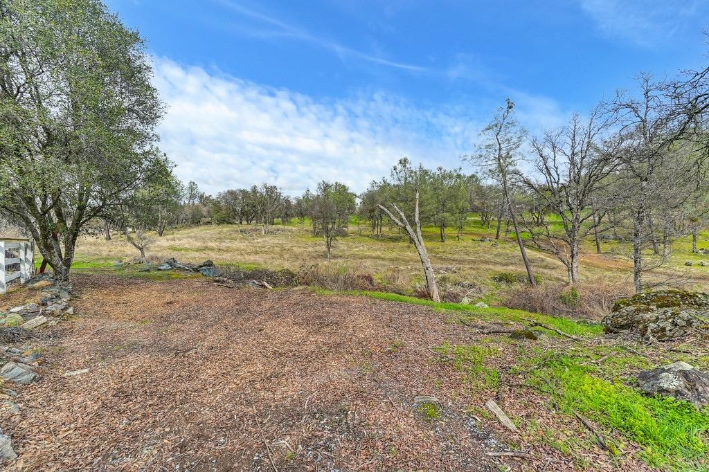 American River Trail, Cool, California image 38