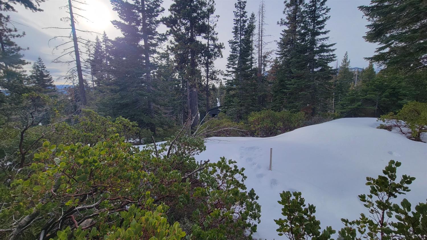 Northridge Drive, Tahoma, California image 8