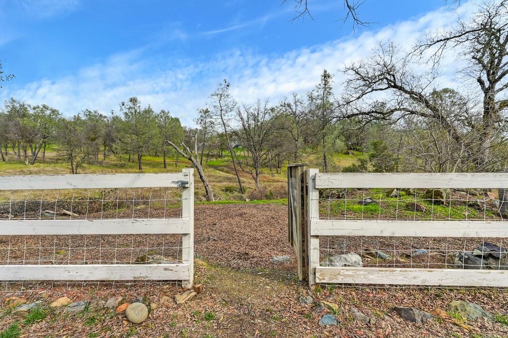 American River Trail, Cool, California image 41