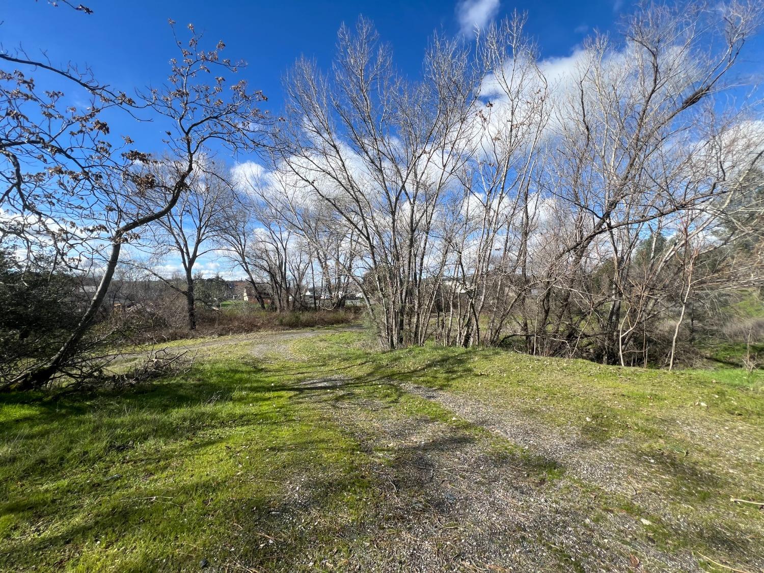 Pacific Street, Plymouth, California image 10