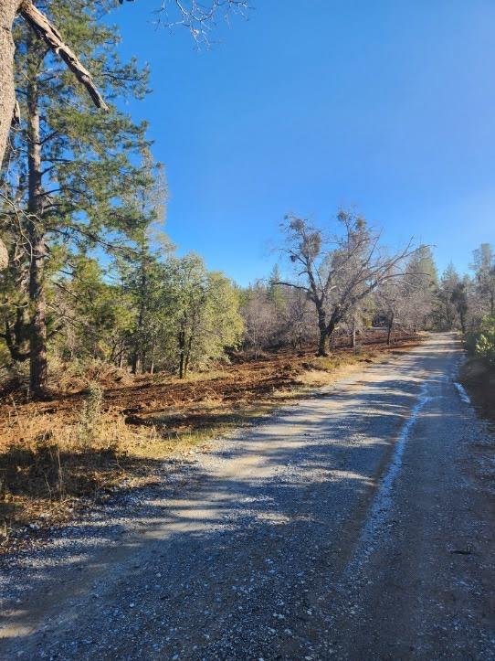 Acres Old Schoolhouse Road, Somerset, California image 5