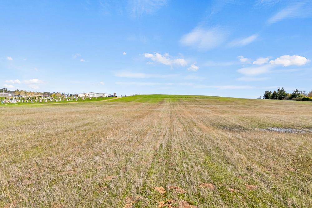 Borden Road, Herald, California image 19