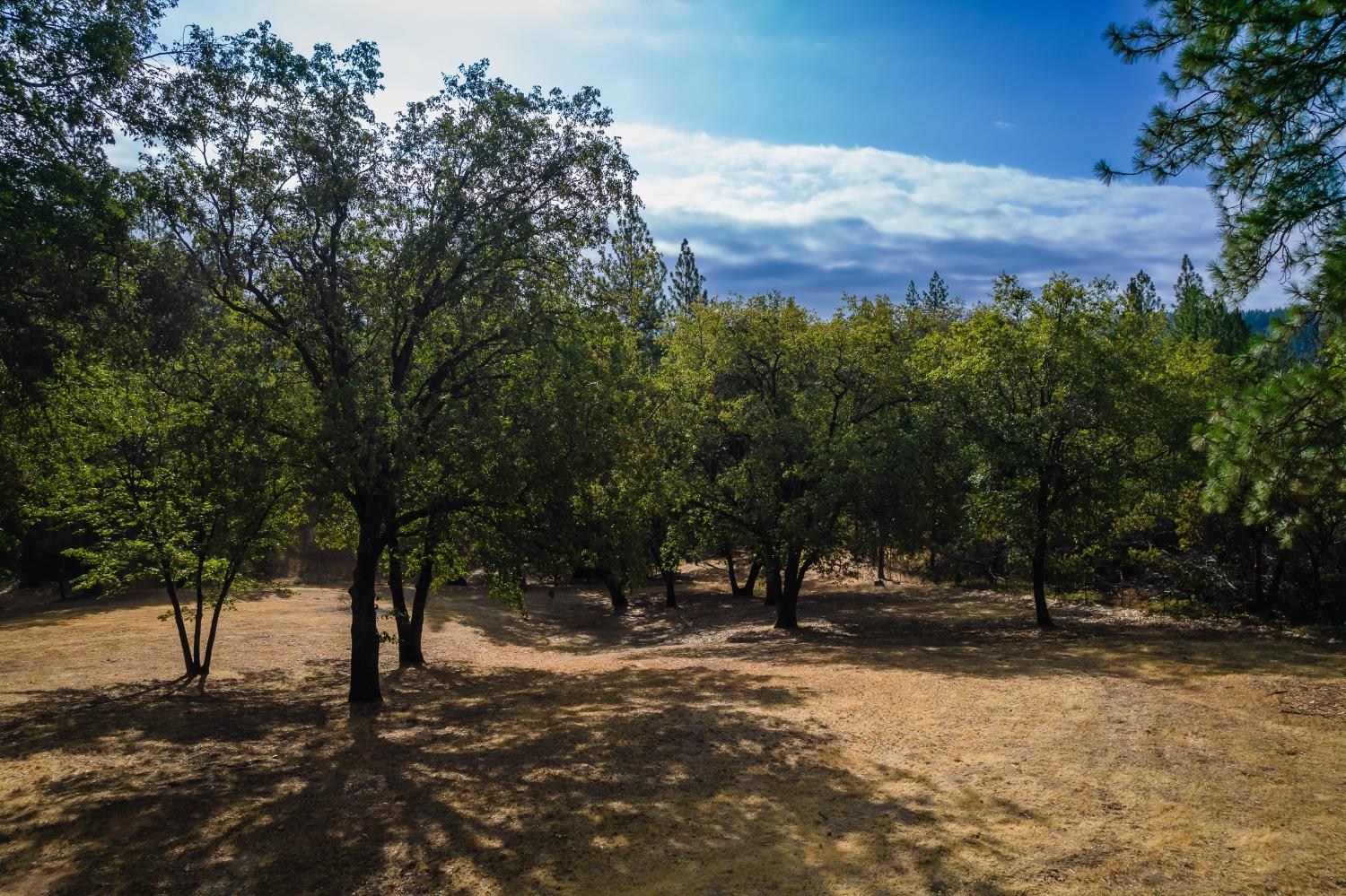 Cosumnes Mine Road, Somerset, California image 15