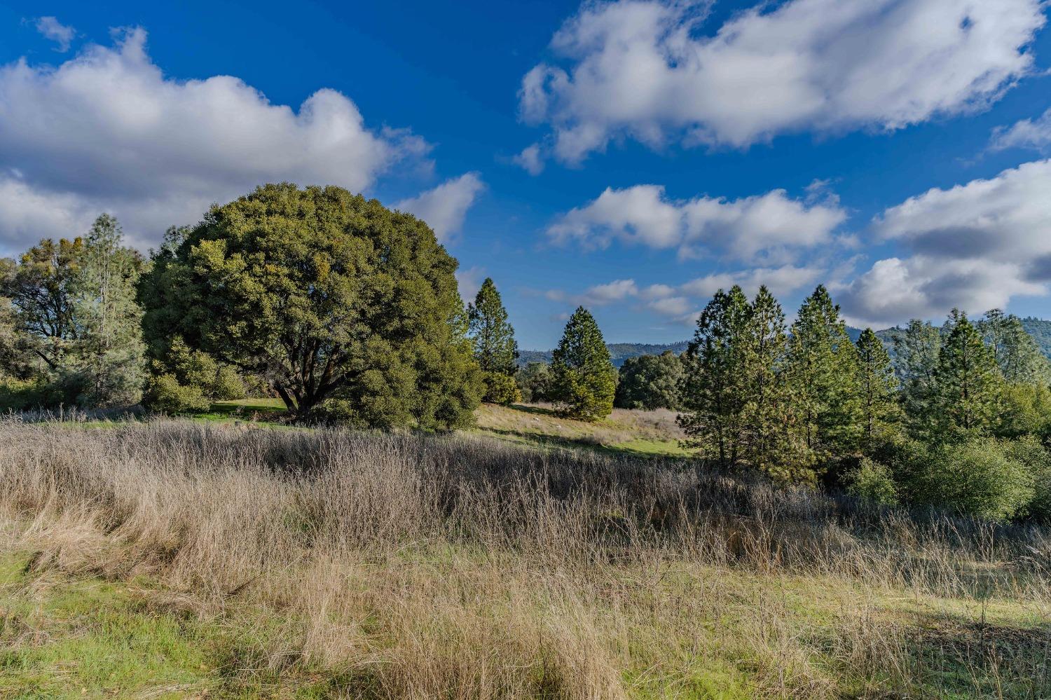 Union Hill, Sonora, California image 8