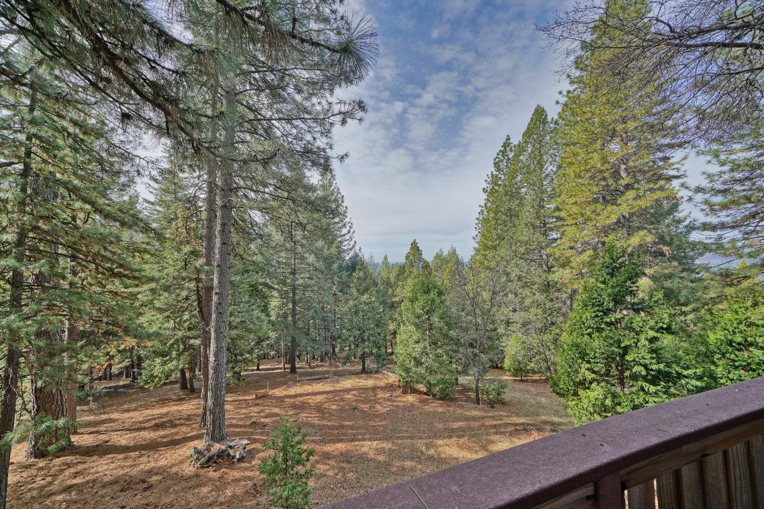 Detail Gallery Image 60 of 68 For 5307 Pine Ridge Dr, Grizzly Flats,  CA 95636 - 4 Beds | 3 Baths
