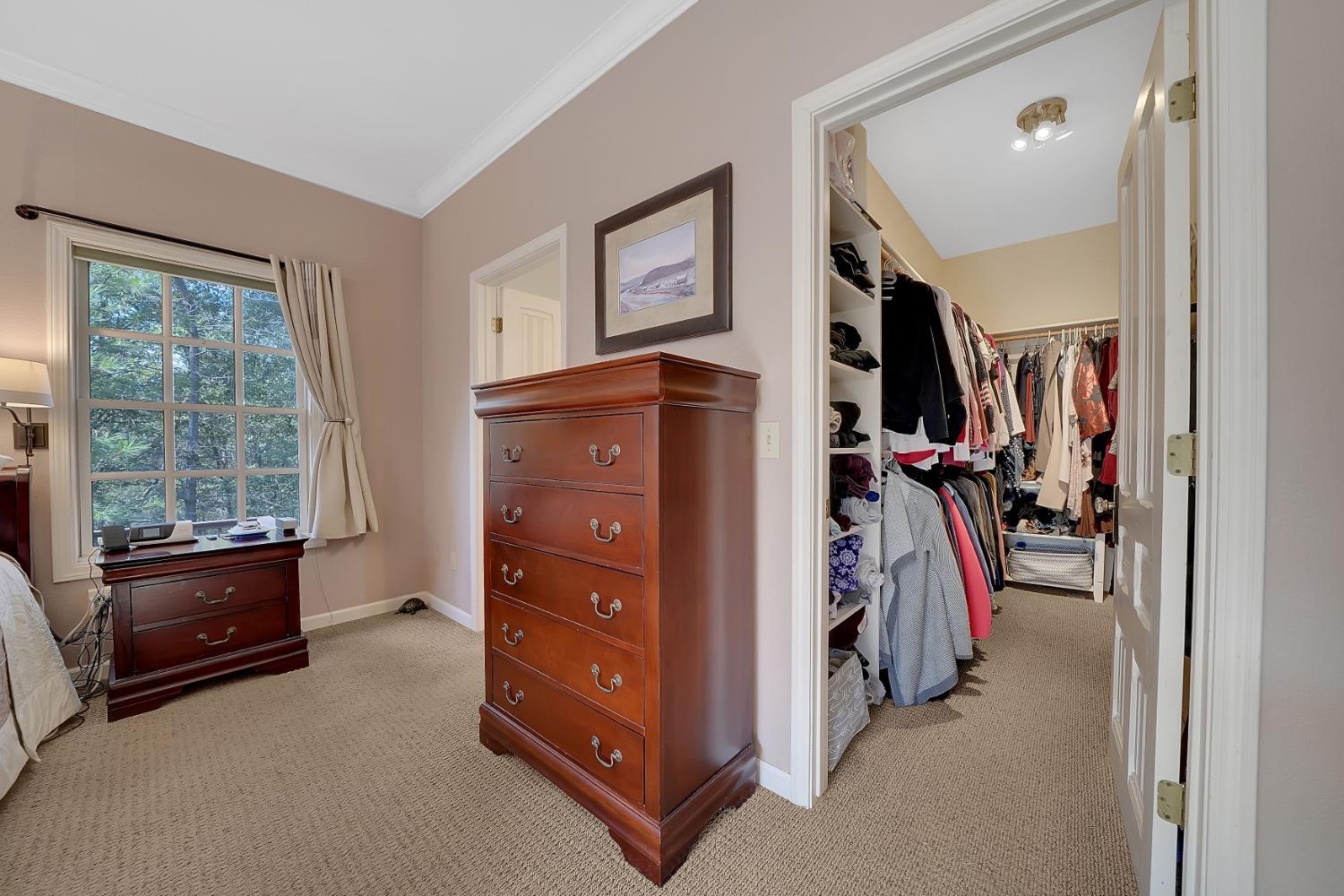 Detail Gallery Image 42 of 77 For 21740 Homestead Rd, Pine Grove,  CA 95665 - 3 Beds | 3 Baths