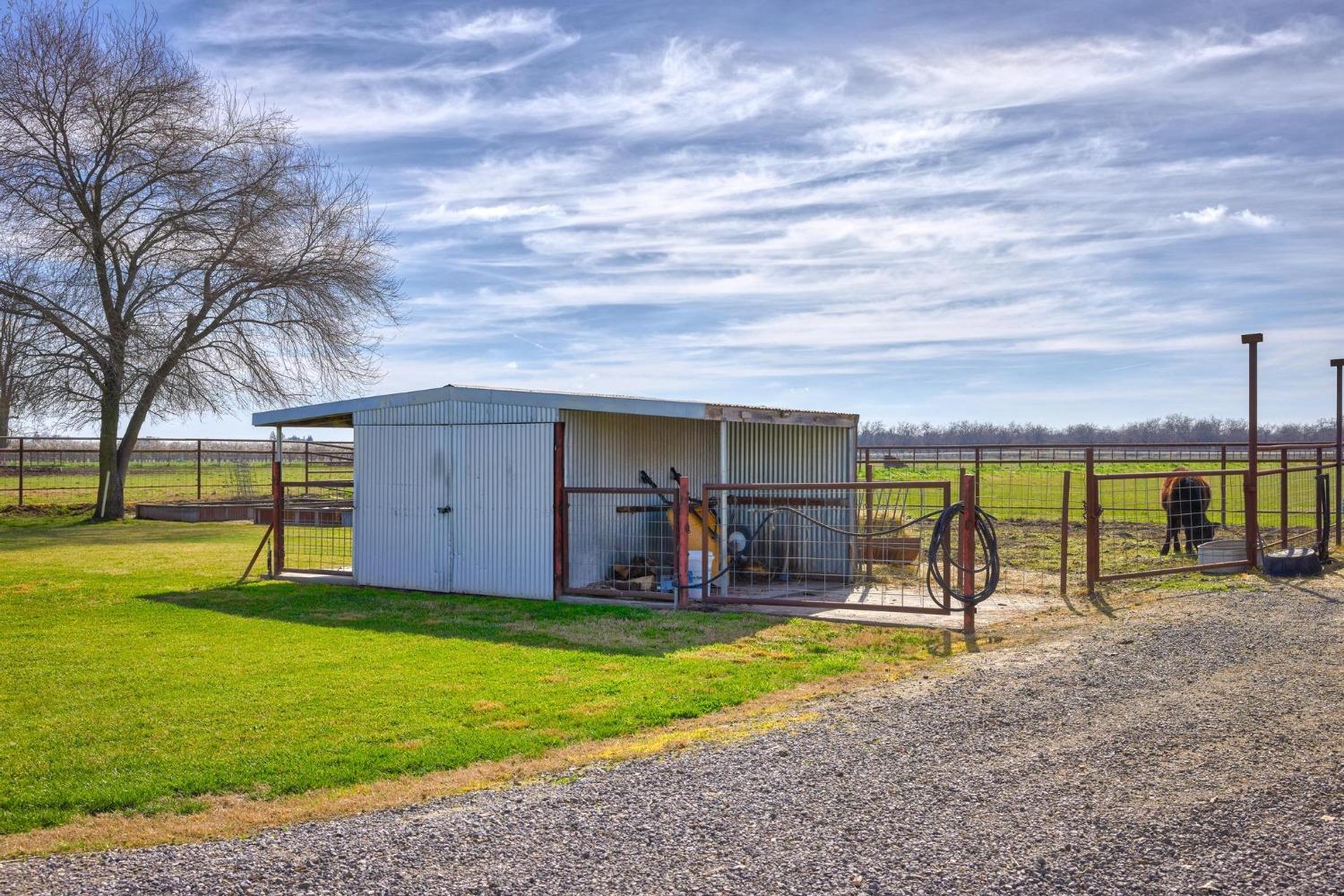 Orange Avenue, Escalon, California image 40